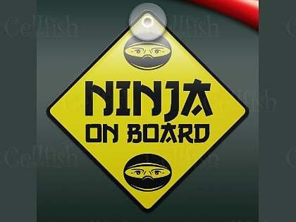 Ninja On Board
