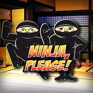 Ninja, Please!