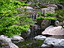 Japanese Garden