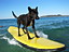 Ralph the Surfing Dog