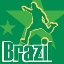 Brazil World Cup