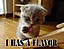 I HAS A FLAVOR