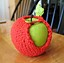 Apple Cozie