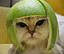 Cat with Avacado Hat