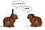 Chocolate Bunnies